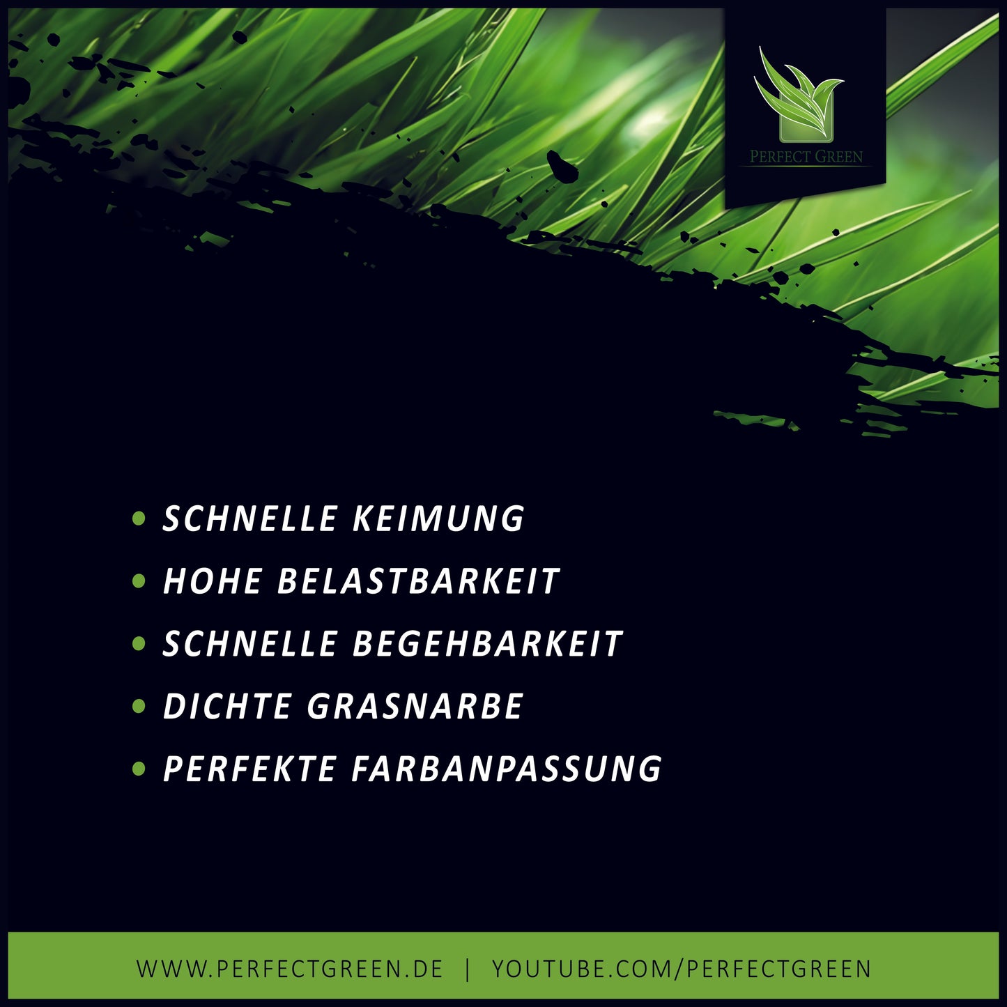 Perfect Green Premium Nachsaat 3kg