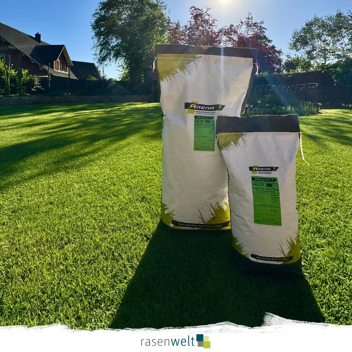 Rasensamen ARENA 4Elite Ultrafine - rasenwelt GmbH