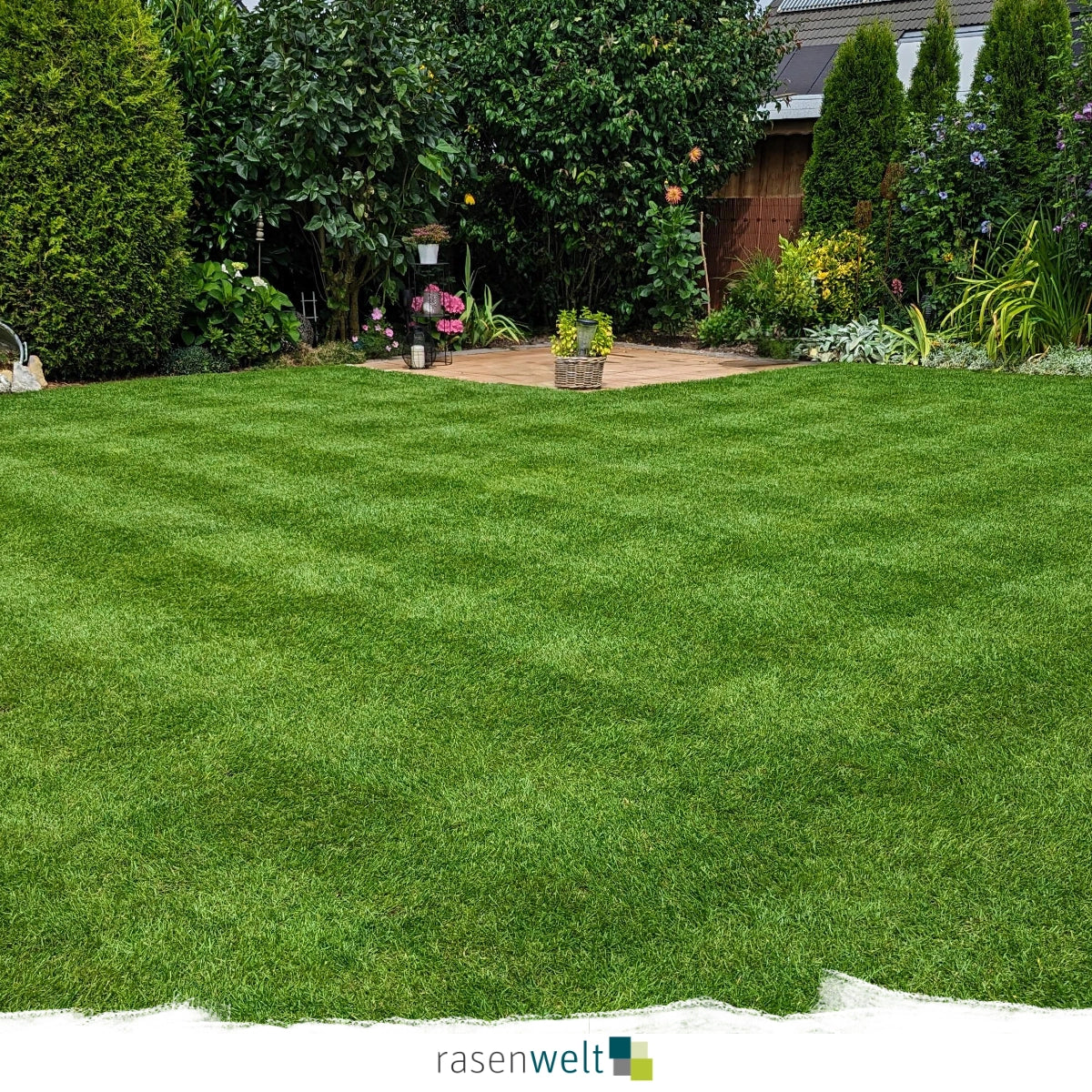 ARENA Fairway Ultimate - Rasenmischung mit Keimbeschleuniger