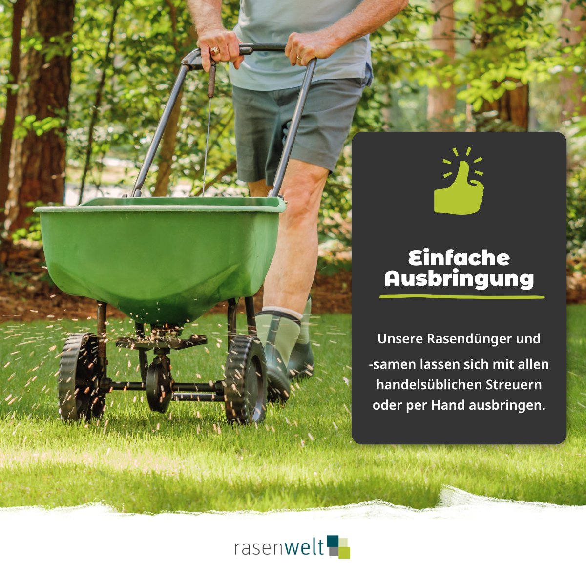 Rasensamen ARENA 4Elite Ultrafine - rasenwelt GmbH