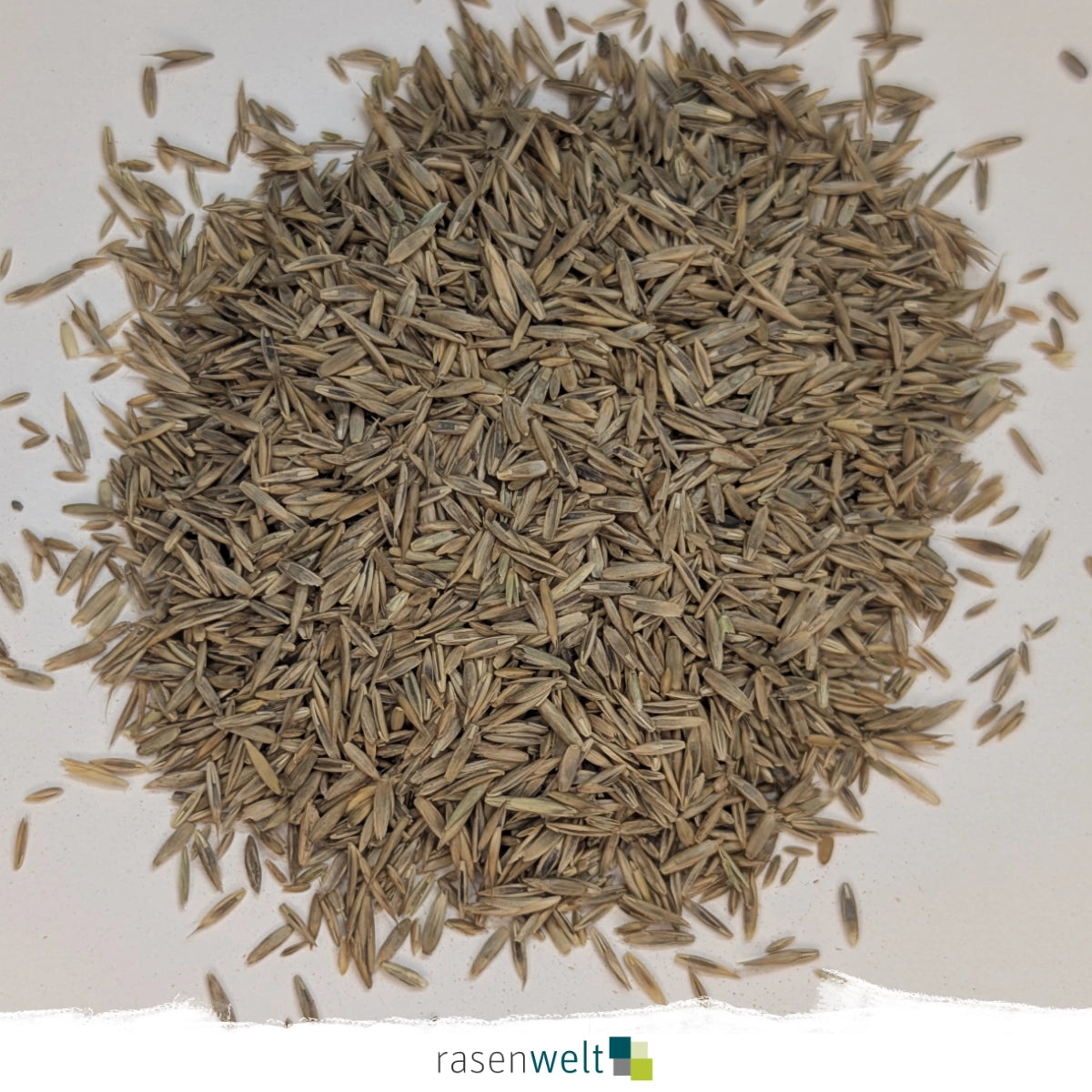 Schattenrasen ARENA Sun and Shade