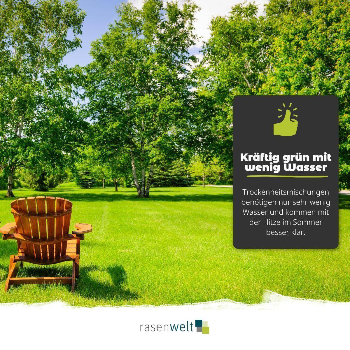 ARENA Heat & Drought Trockenrasen - rasenwelt GmbH