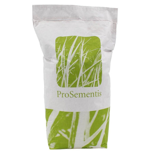 Nachsaat mit Poa pratensis PS-48 RSM 3.2 - rasenwelt GmbH