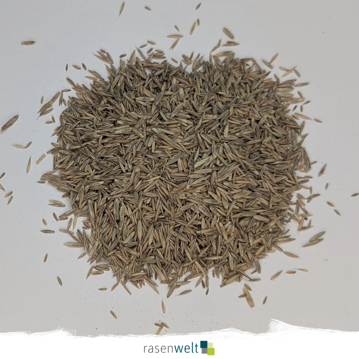 Rasensamen Fairway Nachsaat PS-29