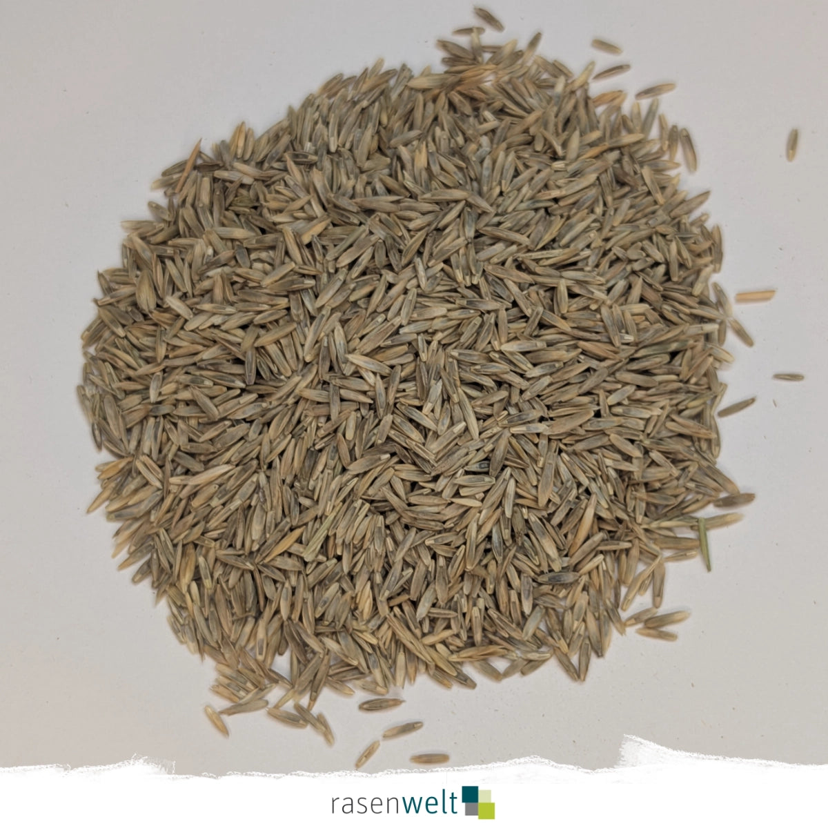 Rasensamen Sportrasen-Regeneration PS-47 RSM 3.2