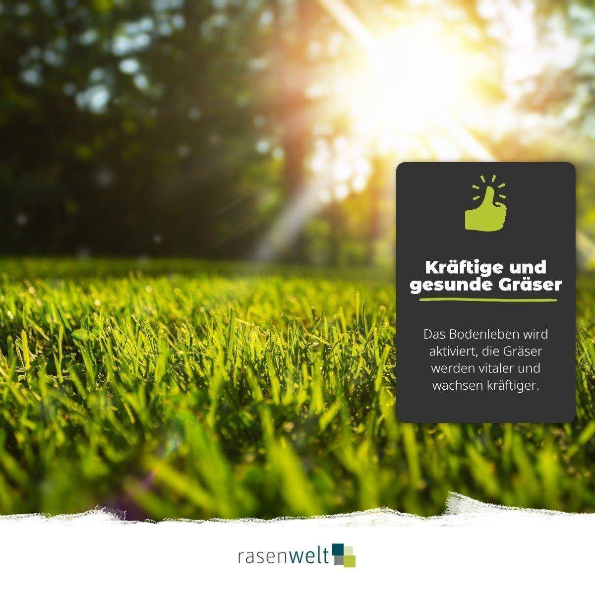 rasenwelt Bodenaktivator (4+3+3) 20kg - rasenwelt GmbH