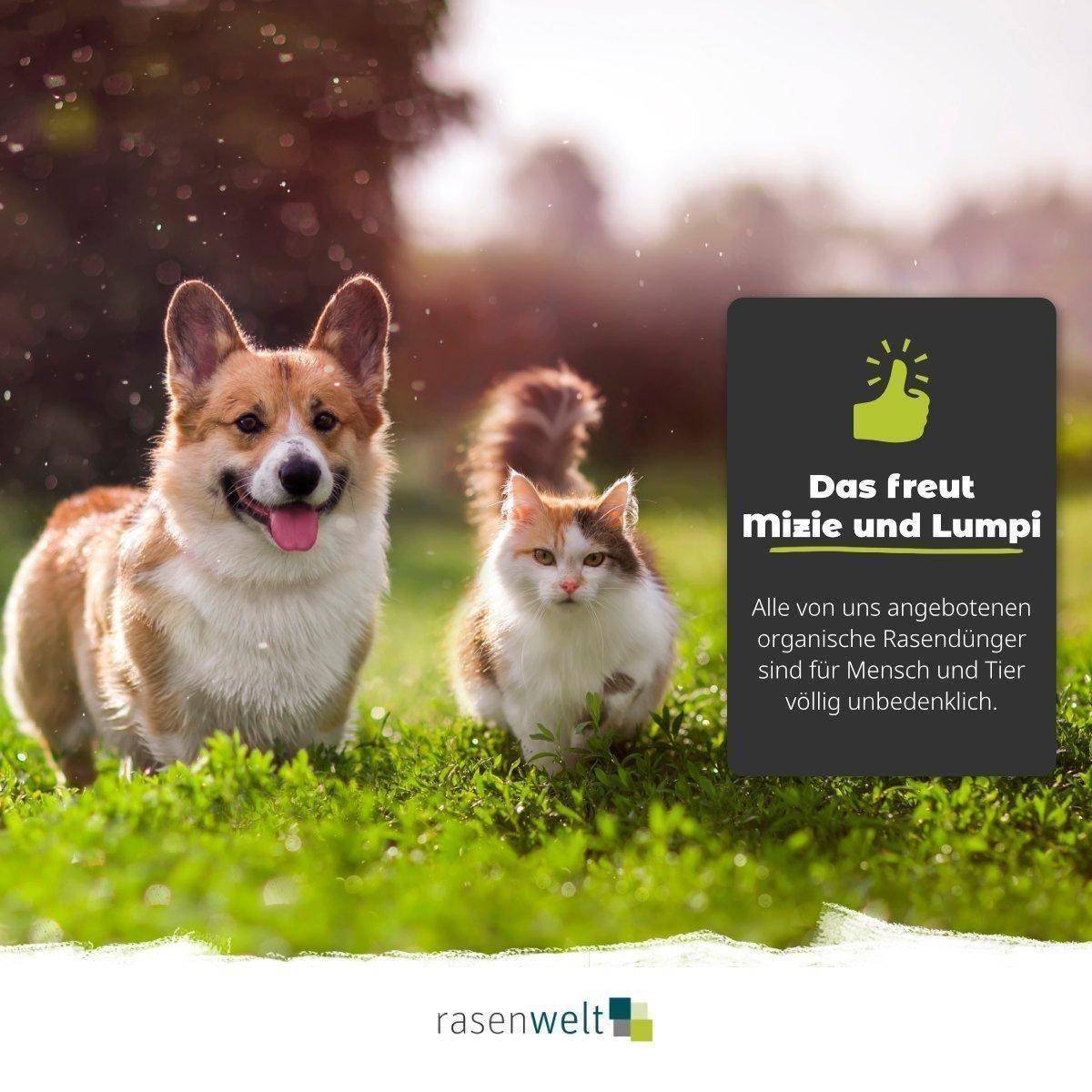 rasenwelt Bodenaktivator (4+3+3) 20kg - rasenwelt GmbH