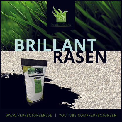Perfect Green Brillant Rasen 3kg