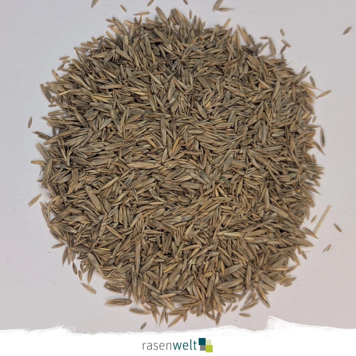 Rasensamen ARENA Fairway Regeneration