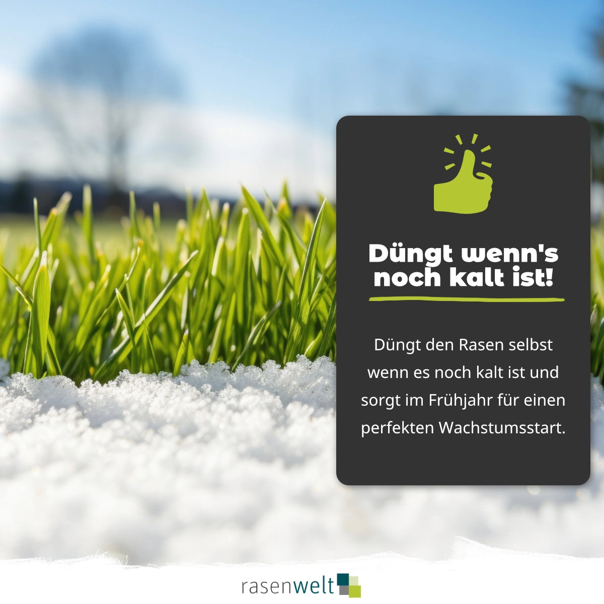 Frühjahrsdünger Greenmaster Cold Start 11+5+5+8Fe 25kg