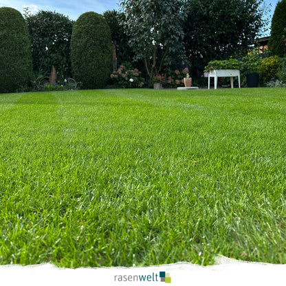 Flüssigdünger ARENA IronBooster 15+0+0(+4+8)