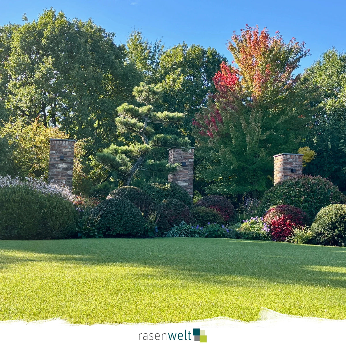 Rasensamen Fairway PS-251