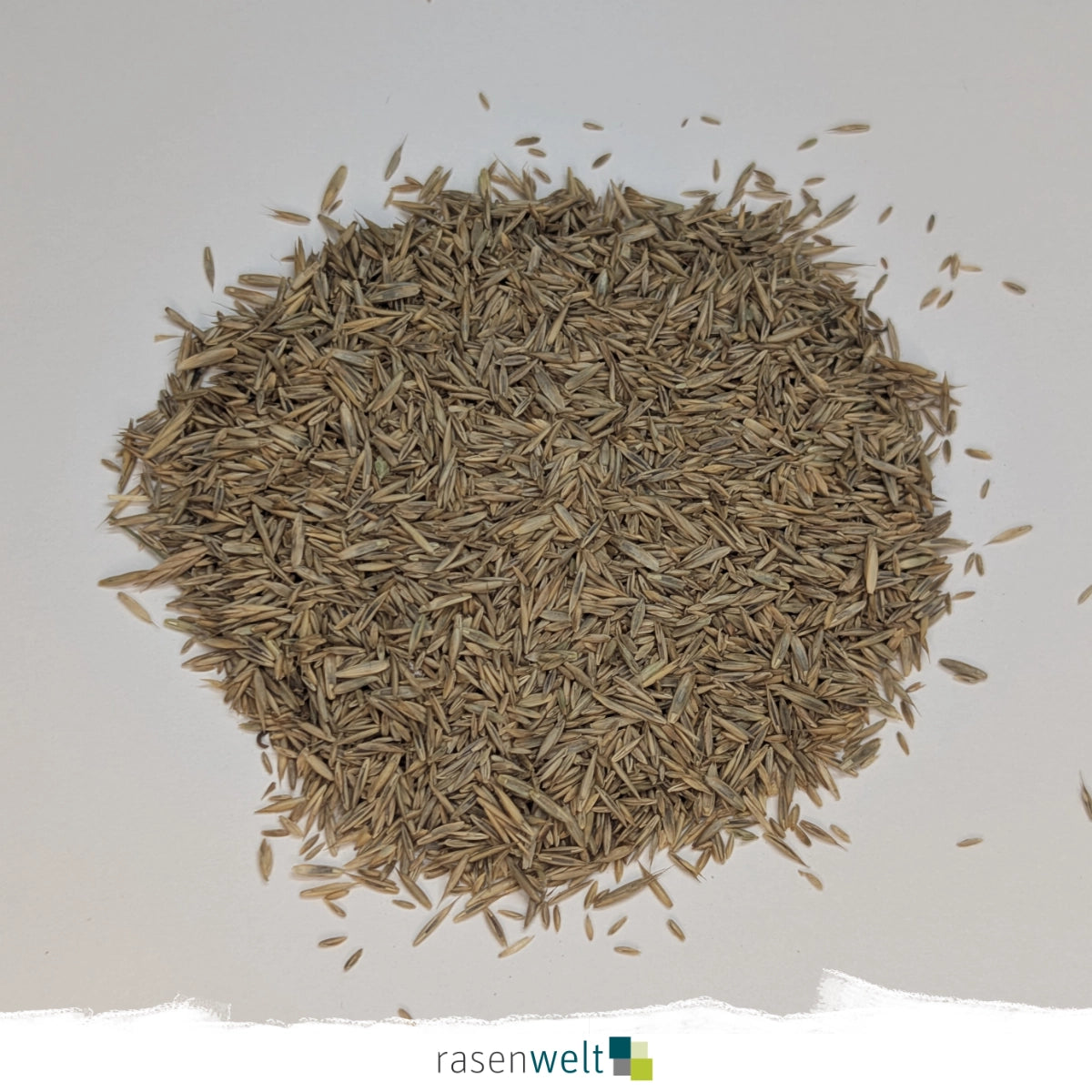 Rasensamen Fairway PS-251