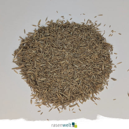 Rasensamen Fairway PS-251