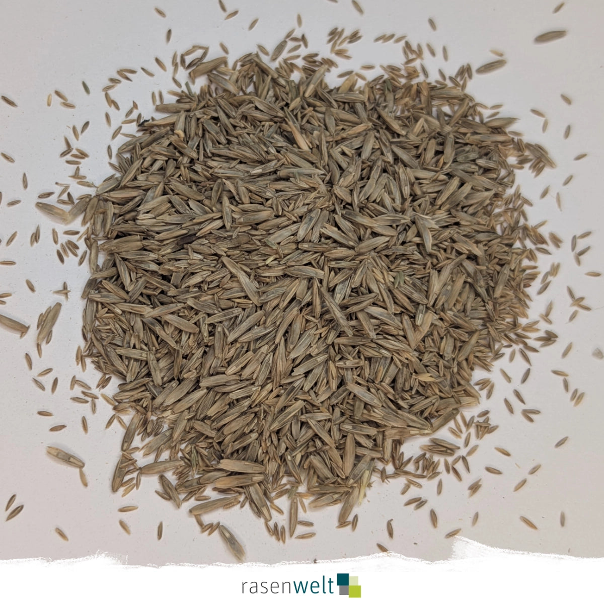 Trockenrasen Nachsaat PS-41