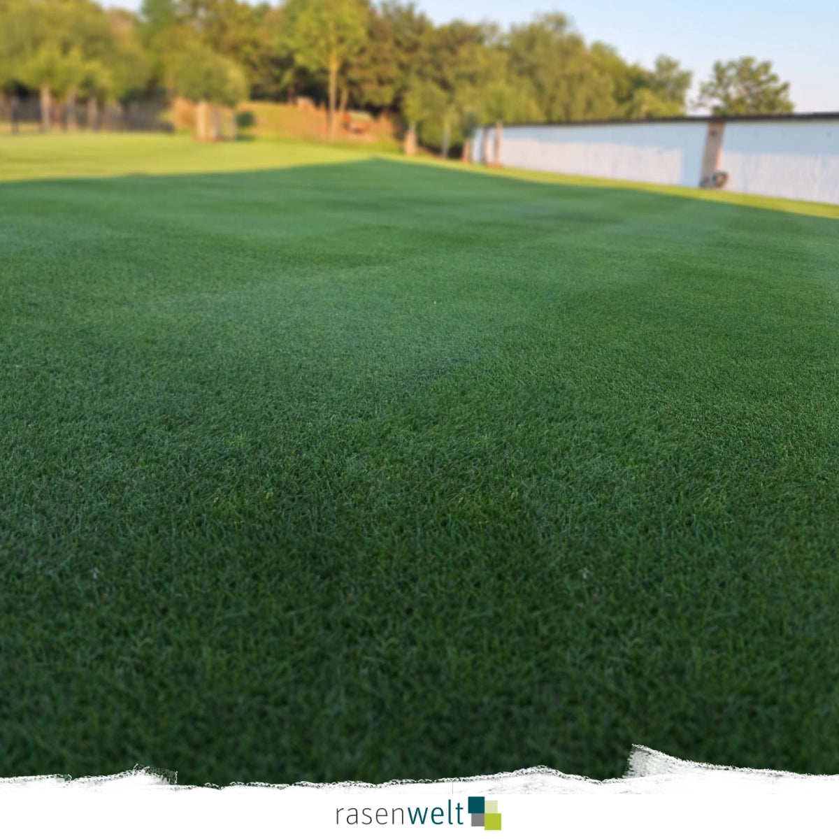 Trockenheitsmischung PS-43