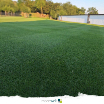 Trockenheitsmischung PS-43