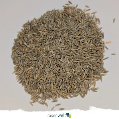 Rasensamen Sportrasen-Regeneration PS-47 RSM 3.2