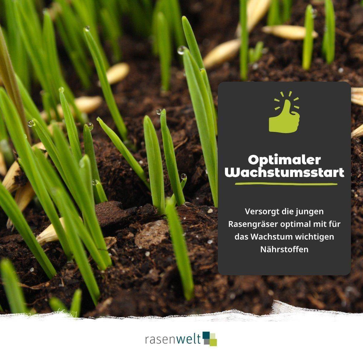 starterdünger Starterdünger ARENA Starter 10+15+10(+15CaO) 20kg – rasenwelt GmbH